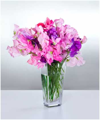 Single-Variety-Flower-Bouquets